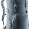 Deuter Walker 24 Backpack, Grijs