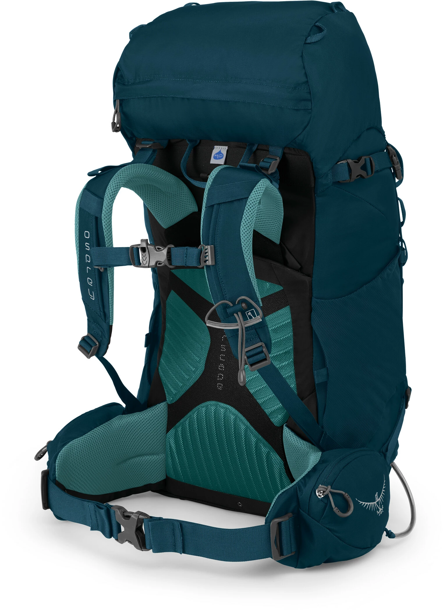 Osprey Kyte 36 Rugzak Dames, Violet 4 Osprey Kyte 36 Rugzak Dames, Violet - Afbeelding 2