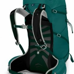 Deuter Winkel -Deuter Winkel osprey tempest 30 backpack women jasper green 2