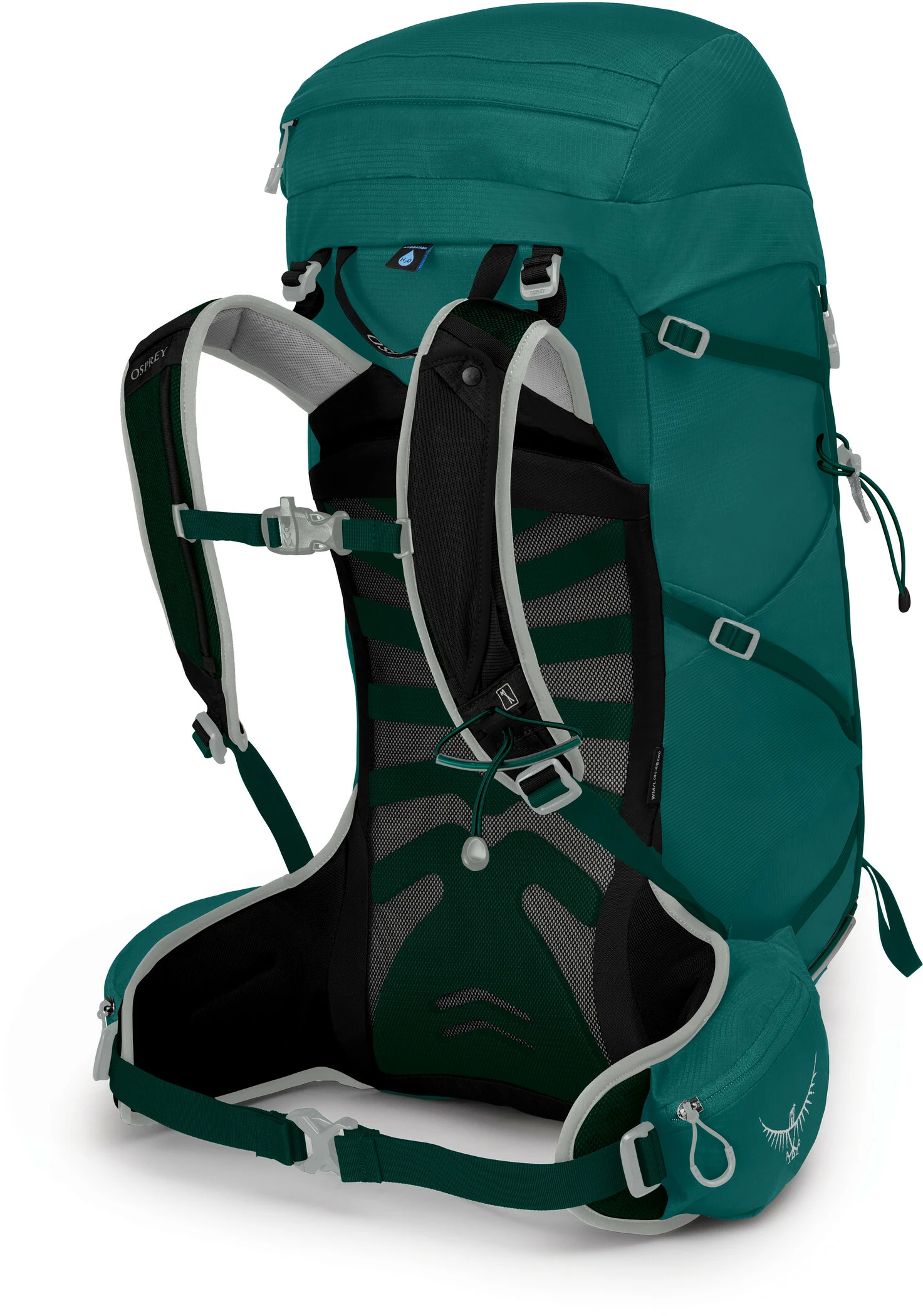 Osprey Tempest 30 Backpack Women, Groen 4 Osprey Tempest 30 Backpack Women, Groen - Afbeelding 2