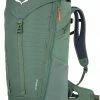 SALEWA Alp Mate 36 Backpack, Blauw -Deuter Winkel salewa alp mate 36 backpack duck green 1